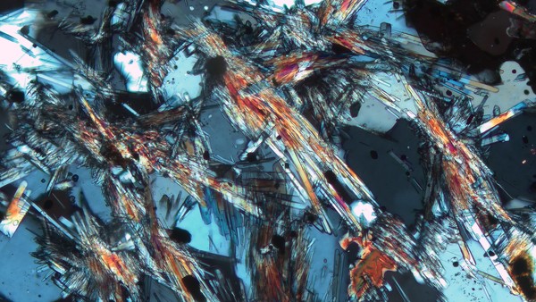 Sillimanite needles in a quartziteby Sophie Graul.jpg