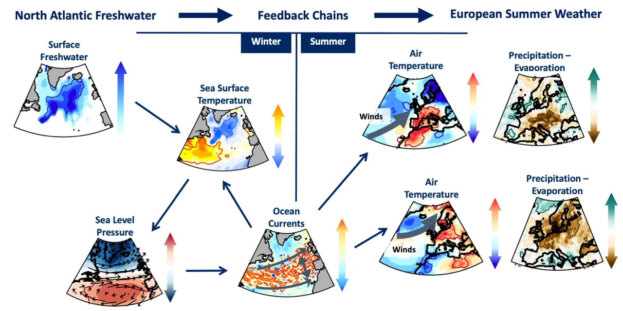 Feedback chains