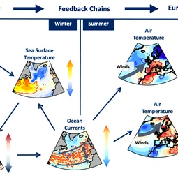 Feedback chains