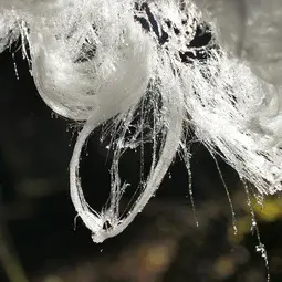 Close-up image of melting hair ice