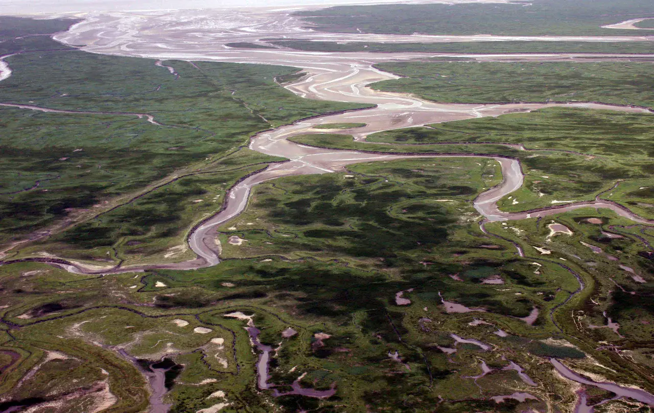 Aerial photograph of flooded land in the Saeftinghe region, southwestern Netherlands (Credit: A. de Kraker)