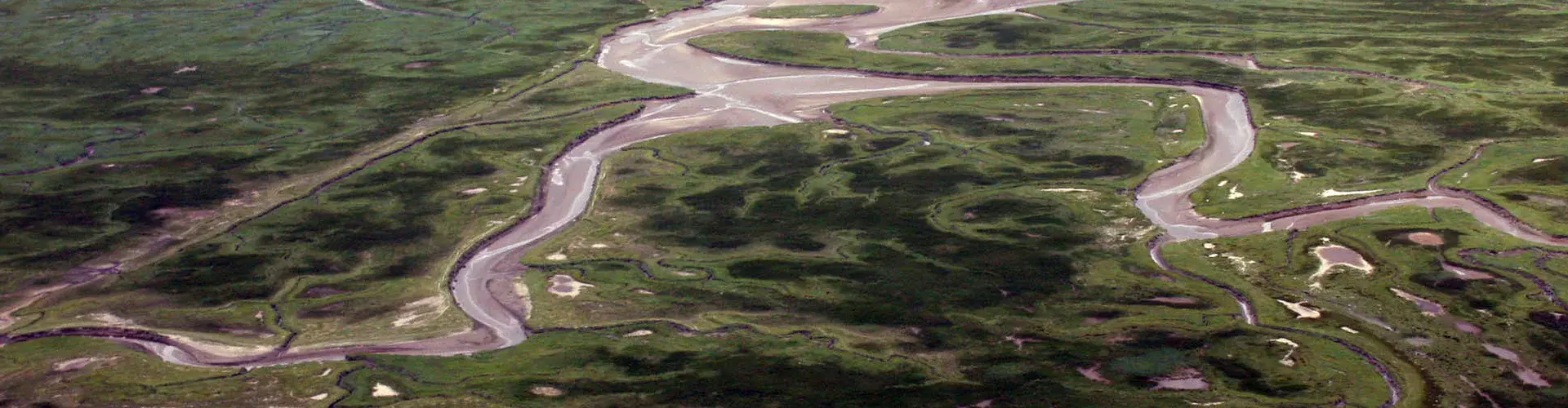 Aerial photograph of flooded land in the Saeftinghe region, southwestern Netherlands (Credit: A. de Kraker)