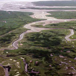 Aerial photograph of flooded land in the Saeftinghe region, southwestern Netherlands