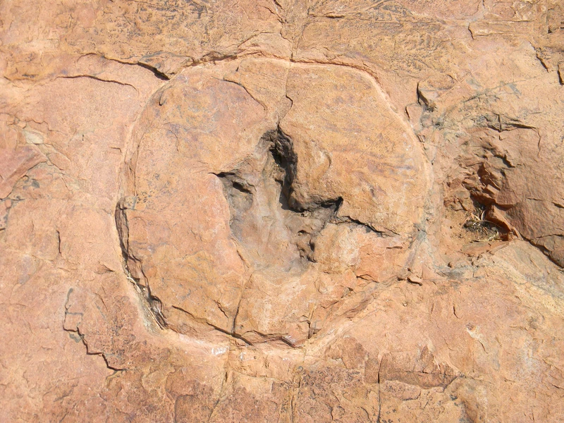 EGU - News - The bigger the temperature change, the larger the ...