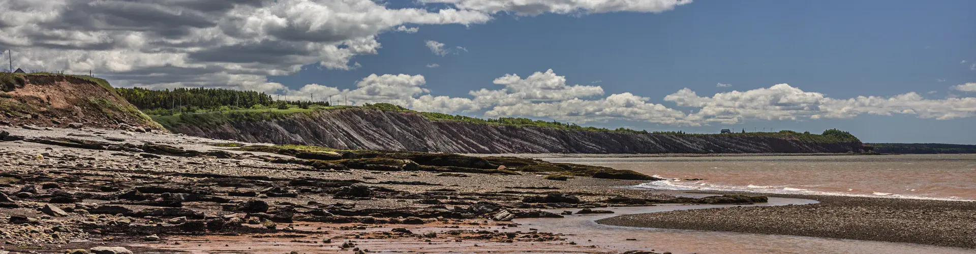Joggins Fossil Cliffs in Nova Scotia, Canada, a site with one of the world's most complete fossil records (Credit: M. Grey/L. Nicoll/Joggins Fossil Institute, via imaggeo.egu.eu)