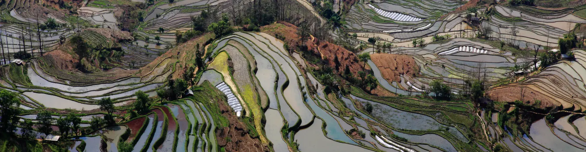 Terraces (Credit: Cheng Su (distributed via imaggeo.egu.eu))