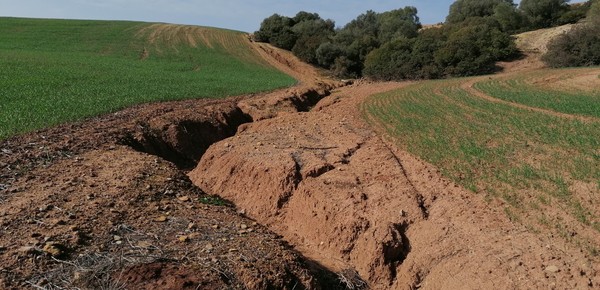 1_Image_Gully_crossing_a_field_Spain_Imaggeo.jpg