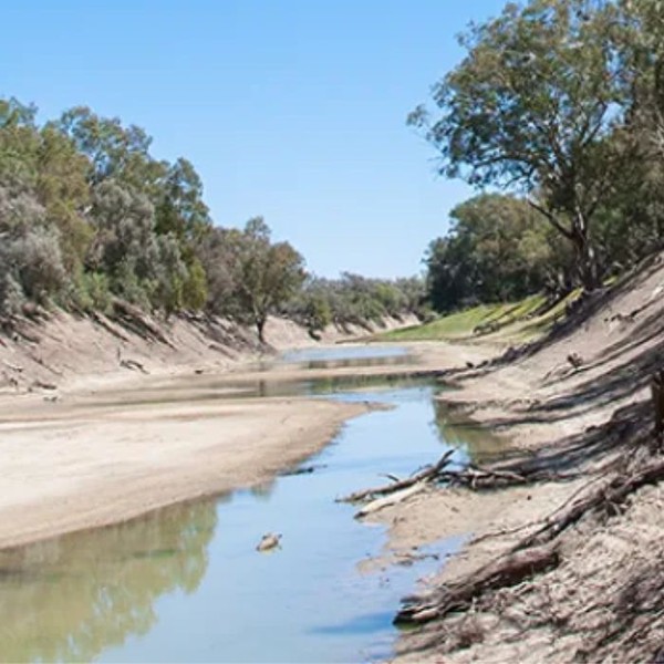 Untitled design (1).jpg