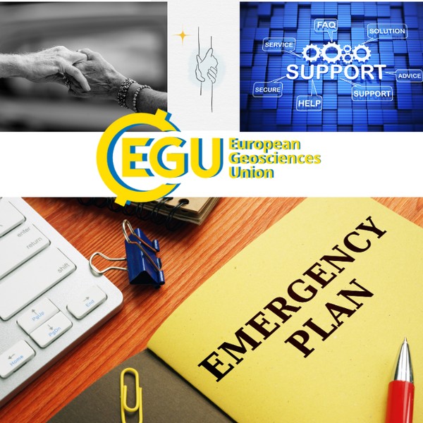 EMERGENCY PLAN POSTER.png