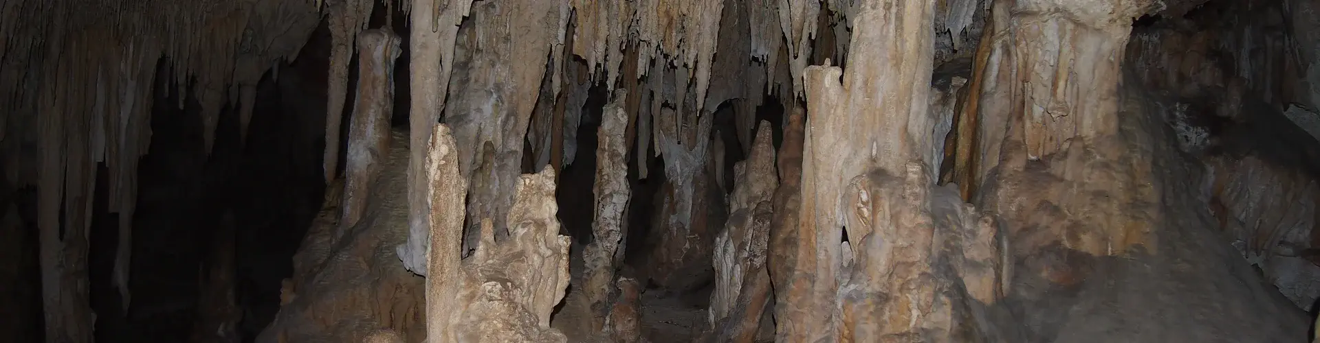 Stalactites and stalagmites in Yonderup cave (Credit: Andy Baker)