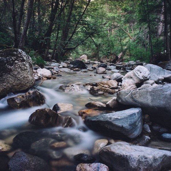 Untitled design (3).jpg