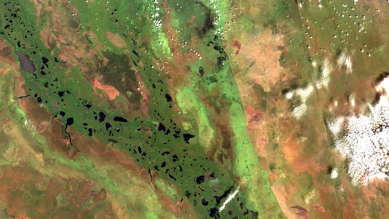 Aerial image of the Sudd wetlands in South Sudan (Credit: Coordenação-Geral de Observação da Terra/INPE via Flickr)