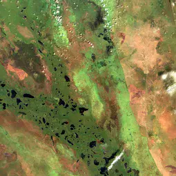 Aerial image of the Sudd wetlands in South Sudan