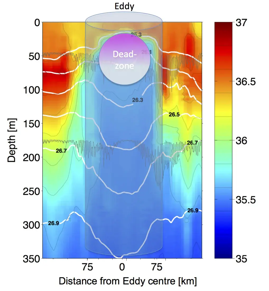 Eddy salinity, dimensions and dead-zone schematic (Credit: J. Karstensen/GEOMAR/Biogeosciences)