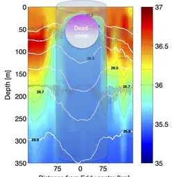 Eddy salinity, dimensions and dead-zone schematic