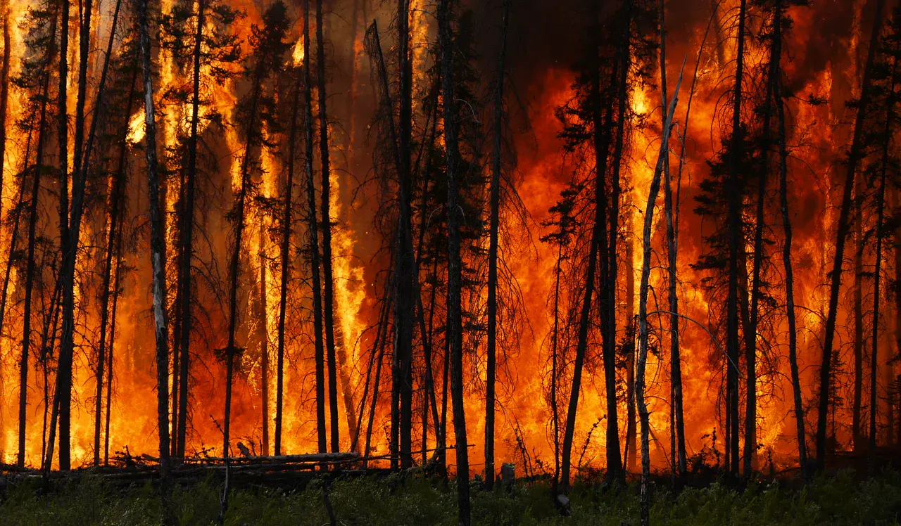 Boreal forest fire in Canada (Credit: Stefan Doerr via Imaggeo, CC BY-ND 3.0)