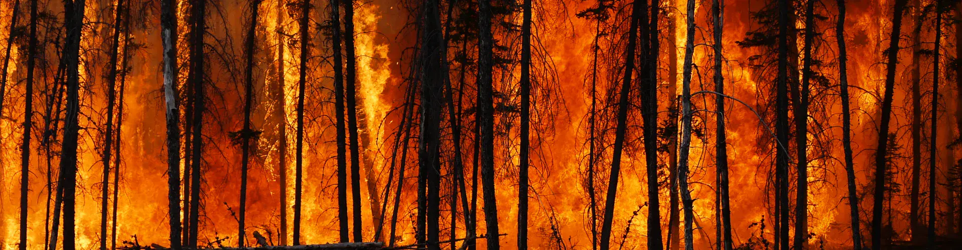 Boreal forest fire in Canada (Credit: Stefan Doerr via Imaggeo, CC BY-ND 3.0)