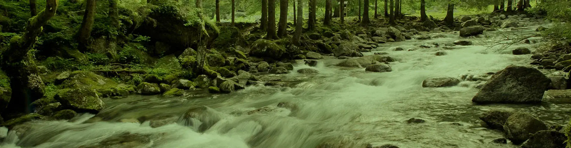 Masino river (Credit: Christian Massari, distributed via imaggeo.egu.eu)