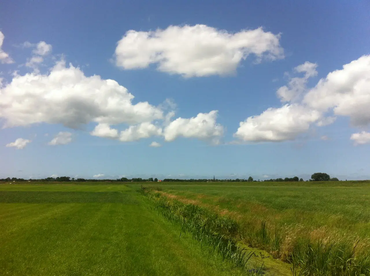 Location in the Dutch country side where researchers tested their prototype waders (Credit: Tim van Emmerik)