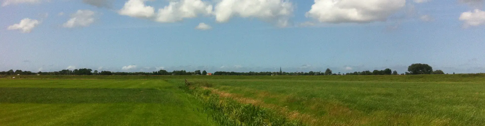 Location in the Dutch country side where researchers tested their prototype waders (Credit: Tim van Emmerik)