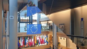 Flag with the EU Parliament building in Strasbourg. Credit - Chloe Hill.jpg