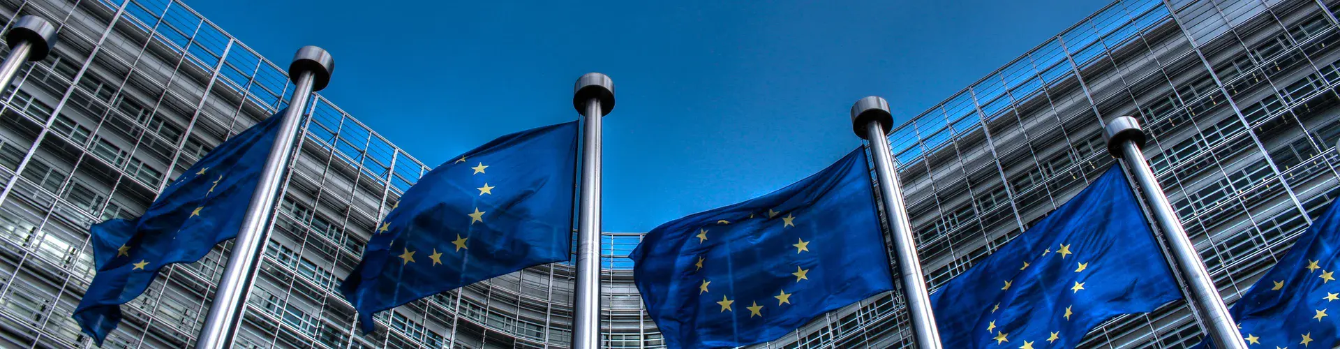 European Union flags in front of the Berlaymont Building, Brussels (Credit: Thijs ter Haar via Wikimedia Commons CC BY 2.0)