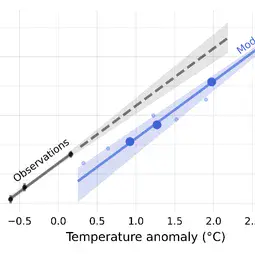 Transient sensitivity of sea level rise