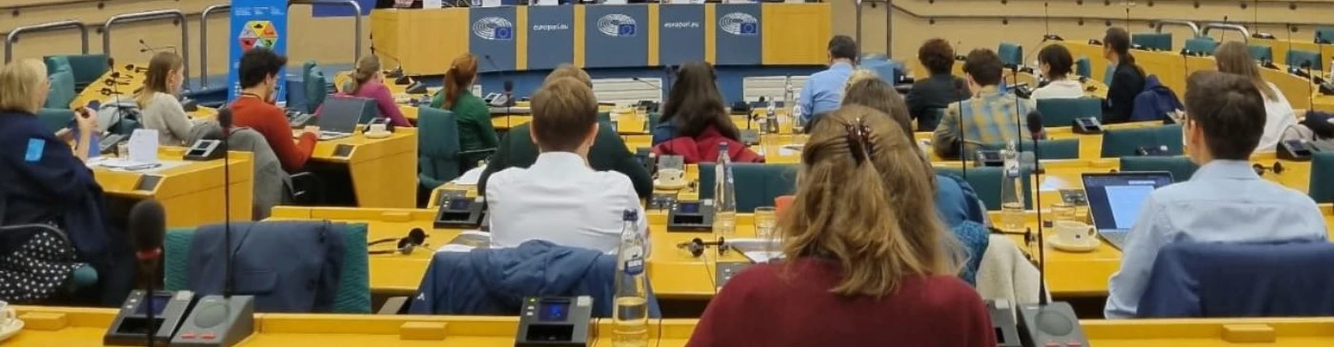 EGU25 press.jpeg