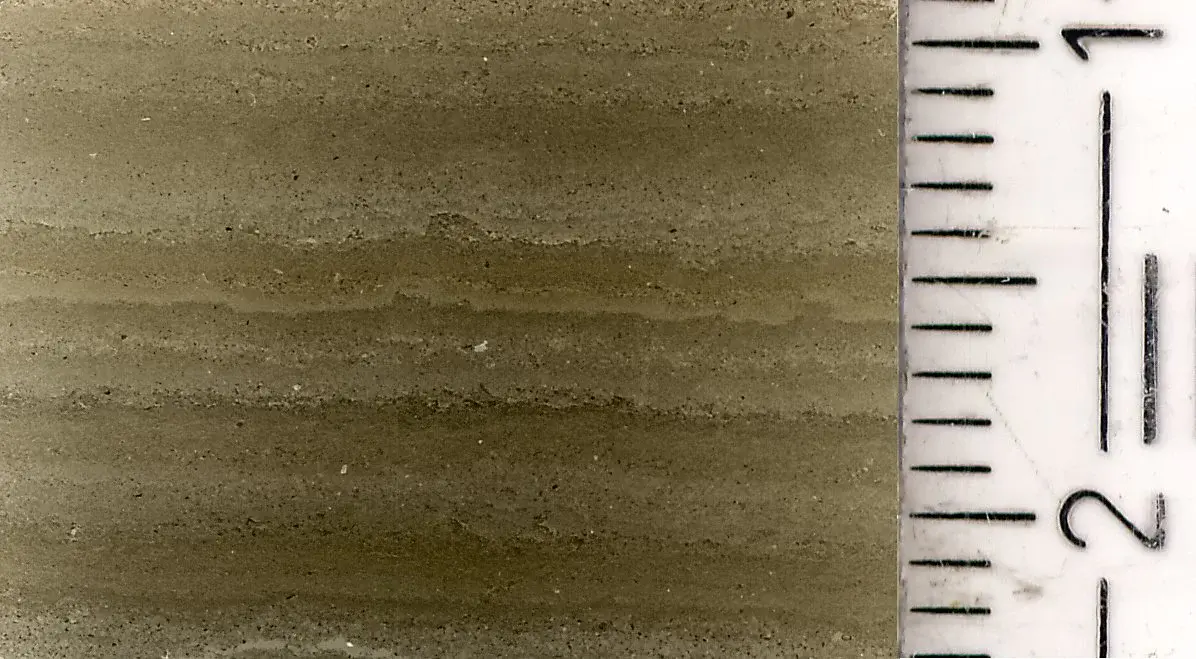 Microscopic view of laminated sediments from Lake Oeschinen, Switzerland (Credit: Benjamin Amann, University of Bern)