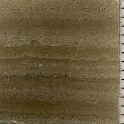 Microscopic view of laminated sediments from Lake Oeschinen, Switzerland