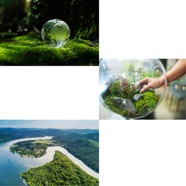 Biodiversity.png