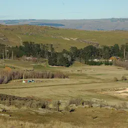 Foulden Maar, an extinct volcanic crater near Dunedin, New Zealand.