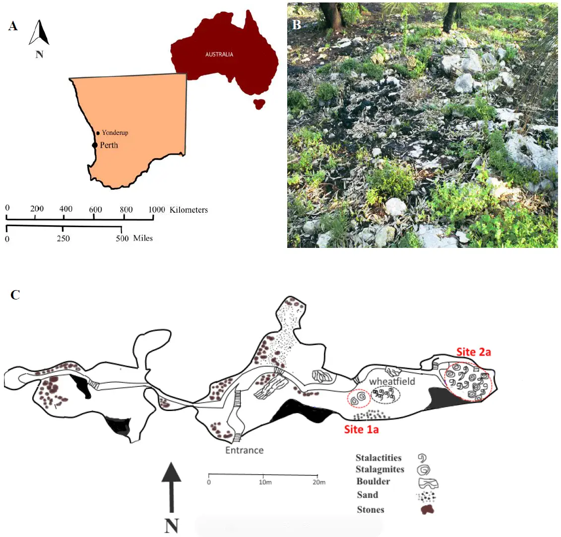 Study site: location, post-wildfire vegetation, and map of Yonderup cave (Credit: Nagra et al., Hydrol. Earth Syst. Sci., 2016)