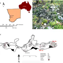 Study site: location, post-wildfire vegetation, and map of Yonderup cave