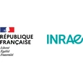 UMR SAS logo