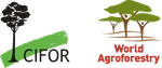 Center for International Forestry Research (CIFOR) and World Agroforestry (ICRAF) logo