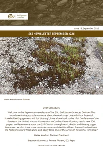 SSS division newsletter cover image